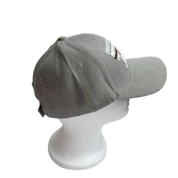 Protected By The 2nd Amendment *NEW* Gray Hat Cap 2A Adjustable Canvas Rights - Picture 2 of 8